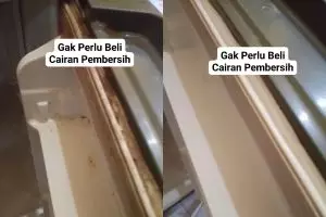 Bukan pakai odol, ternyata cuka bisa ampuh bersihkan karet pintu kulkas berjamur, begini cara pakainya