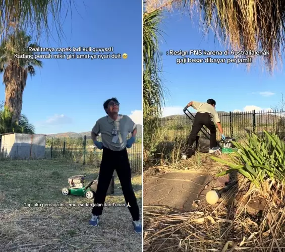 Pria resign dari PNS pilih kerja di Australia © 2025 TikTok Pria resign dari PNS pilih kerja di Australia © 2025 TikTok