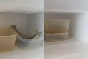 Rahasia freezer selalu tampak lega: Cuma perhatikan 4 cara ini, dijamin bunga es nggak muncul lagi!