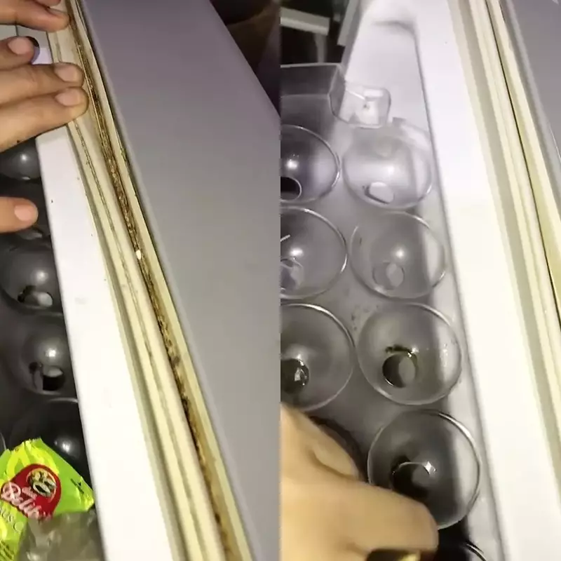 Karet pintu kulkas berjamur sudah bukan lagi masalah! Coba cara praktis ini untuk kembalikan kilaunya