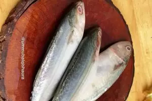 Solusi praktis bersihkan insang ikan tanpa ribet, tak perlu dibelah, hasil tetap bersih dan segar