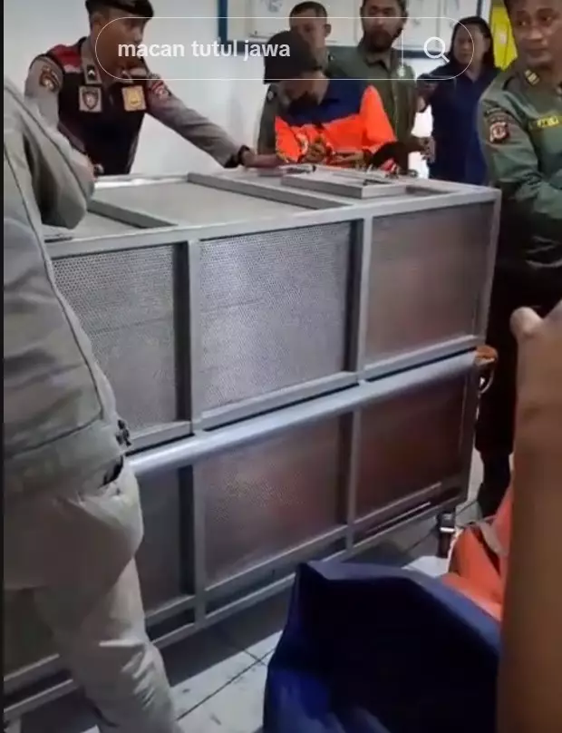 macan tutul masuk balai desa Kuningan © TikTok