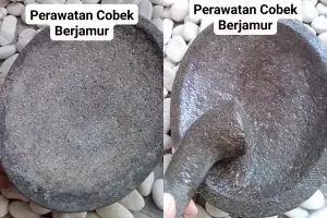 Jangan tunggu sampai berjamur! Rawat cobek dengan 3 tahap praktis ini agar selalu steril dipakai