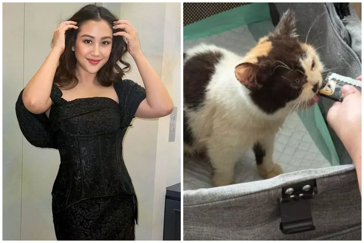 Sherina Munaf selamatkan salah satu kucing di rumah Uya Kuya, kondisinya memprihatinkan