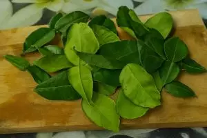 Simpan daun jeruk terlalu lama malah kering atau busuk? Pakai cara ini agar tetap hijau hingga 1 bulan