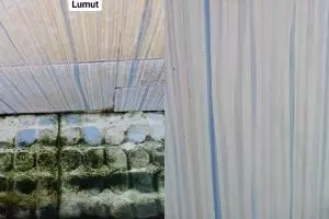 Bersihkan keramik kamar mandi berkerak dan berlumut bukan lagi hal sulit jika pakai 2 bahan dapur ini