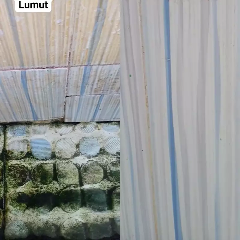 Bersihkan keramik kamar mandi berkerak dan berlumut bukan lagi hal sulit jika pakai 2 bahan dapur ini