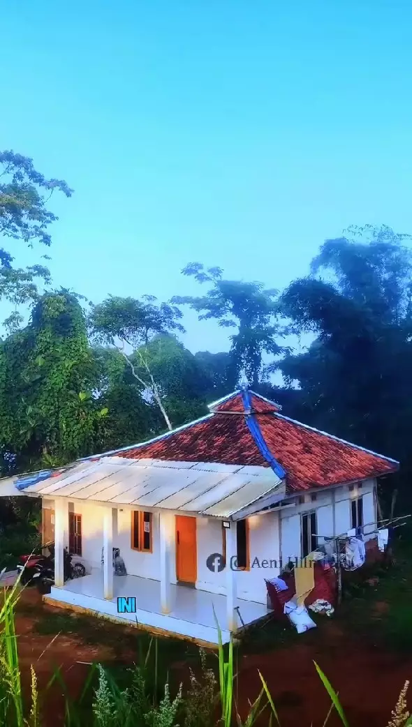rumah di tengah hutan cocok untuk slow living © Instagram rumah di tengah hutan cocok untuk slow living © Instagram