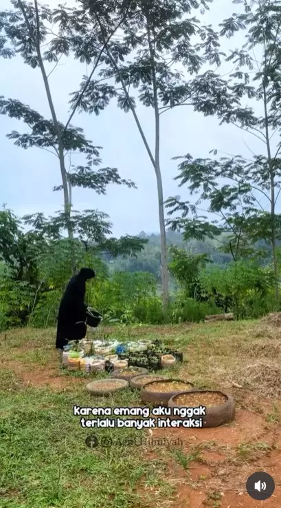 rumah di tengah hutan cocok untuk slow living © Instagram rumah di tengah hutan cocok untuk slow living © Instagram