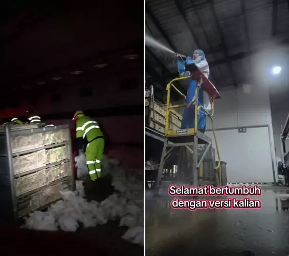 Lulusan S2 pilih resign kerjaan jadi kuli di Australia © 2025 TikTok