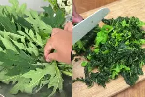 Tak perlu repot cari tanah liat, daun pepaya dijamin nggak pahit rasanya jika direbus dengan cara ini