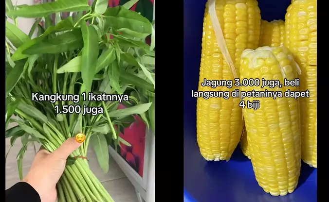 Wanita hanya habiskan 50 ribu per minggu di Kalimantan © 2025 Instagram Wanita hanya habiskan 50 ribu per minggu di Kalimantan © 2025 Instagram