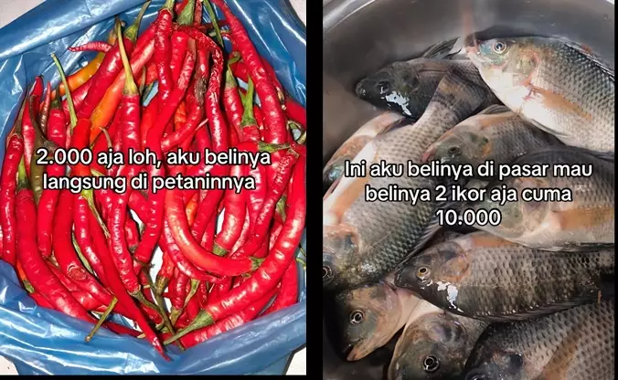 Wanita hanya habiskan 50 ribu per minggu di Kalimantan © 2025 Instagram Wanita hanya habiskan 50 ribu per minggu di Kalimantan © 2025 Instagram