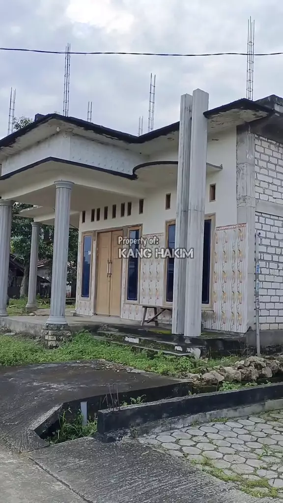 Dusun pengusaha lele Lamongan rumahnya mewah © 2025 TikTok Dusun pengusaha lele Lamongan rumahnya mewah © 2025 TikTok