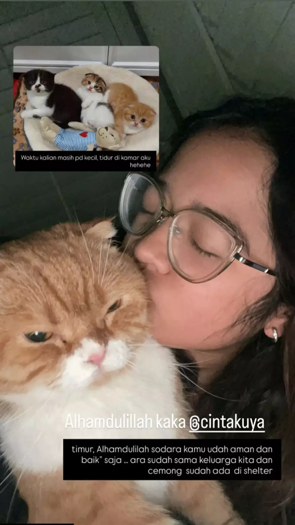 Kronologi Sherina Munaf selamatakan kucing Uya Kuya © 2025 brilio.net