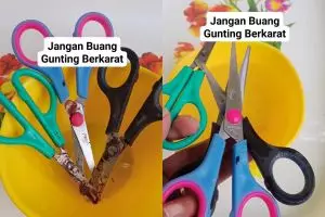 Cuma butuh 1 bahan pembersih ini, gunting lama berkarat bisa kinclong dan tajam lagi dalam 15 menit