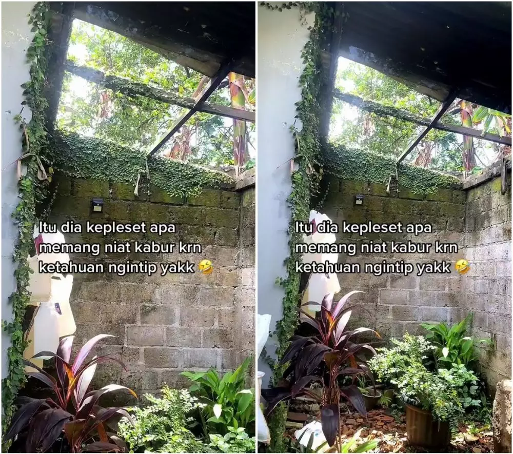 biawak ngintip di genting © TikTok biawak ngintip di genting © TikTok