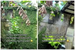 Sosoknya bikin liat dua kali, begini momen wanita tangkap basah pengintip dari halaman belakang rumah