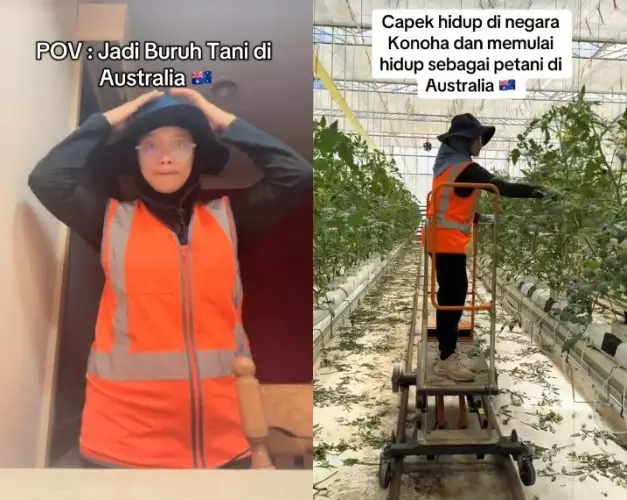 Dicibir sarjana pendidikan cuma jadi honorer © TikTok Dicibir sarjana pendidikan cuma jadi honorer © TikTok