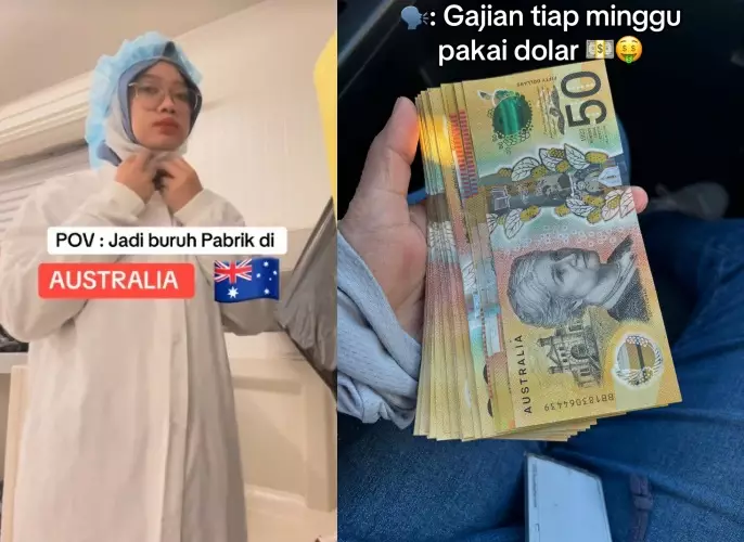 Dicibir sarjana pendidikan cuma jadi honorer © TikTok Dicibir sarjana pendidikan cuma jadi honorer © TikTok