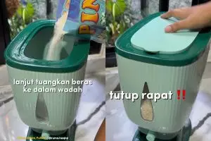 Cara ampuh agar stok beras bebas dari kutu dan serangga, cuma butuh 1 bahan dapur ini