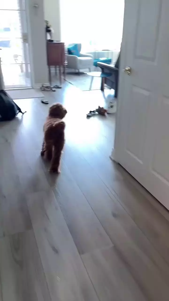 Gender reveal anak Aurelie Moeremans dan Tyler Bigenho © 2025 Instagram