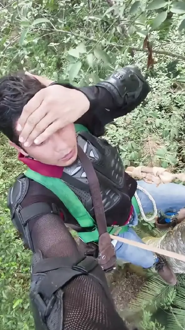 momen menegangkan pria diincar harimau © TikTok momen menegangkan pria diincar harimau © TikTok
