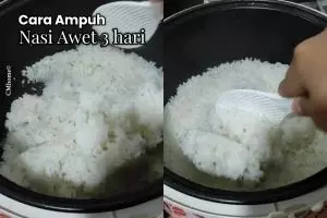 Sering dapat nasi basi meski baru dimasak?  Gunakan trik ini biar awet 3 hari tanpa bau dan menguning