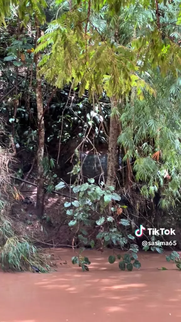 batu mirip ular raksasa © 2025 TikTok batu mirip ular raksasa © 2025 TikTok