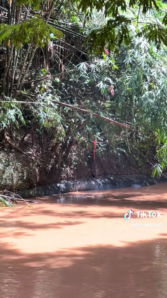 batu mirip ular raksasa © 2025 TikTok batu mirip ular raksasa © 2025 TikTok