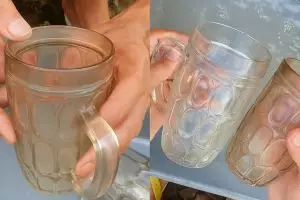 Kerak teh dan kopi sering bikin gelas kaca jadi buram? Rendam pakai 3 bahan dapur ini auto bening lagi