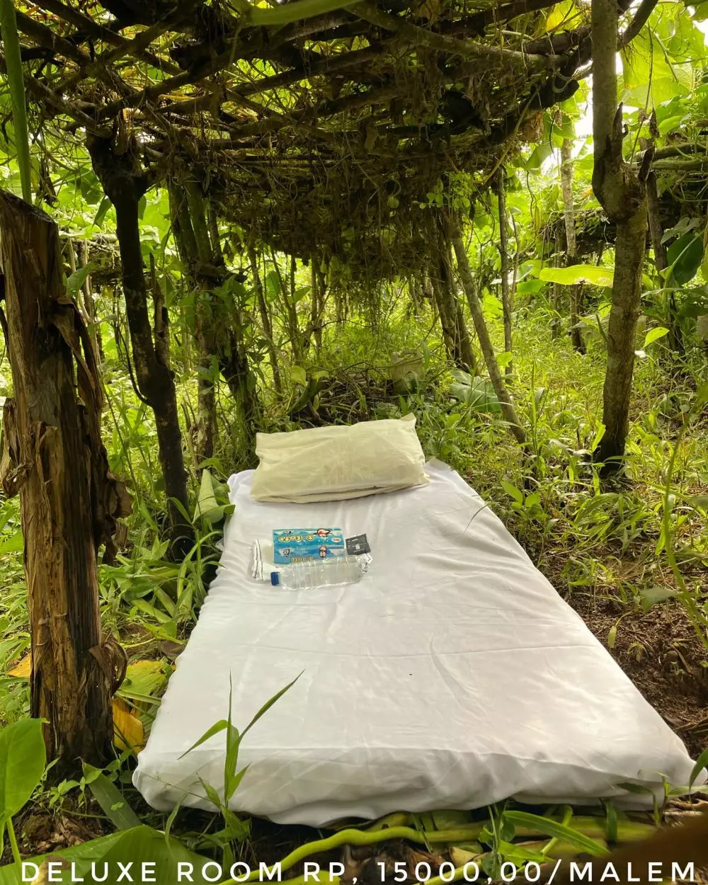 hotel semak semak © 2025 Instagram hotel semak semak © 2025 Instagram