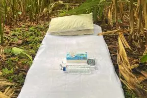 7 Potret lucu Semak-Semak House, penginapan 'bintang 5' bernuansa alam ini bikin ngakak warganet