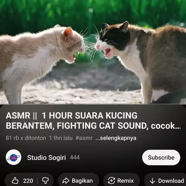 video asmr nyeleneh pengantar tidur © 2025 Instagram video asmr nyeleneh pengantar tidur © 2025 Instagram