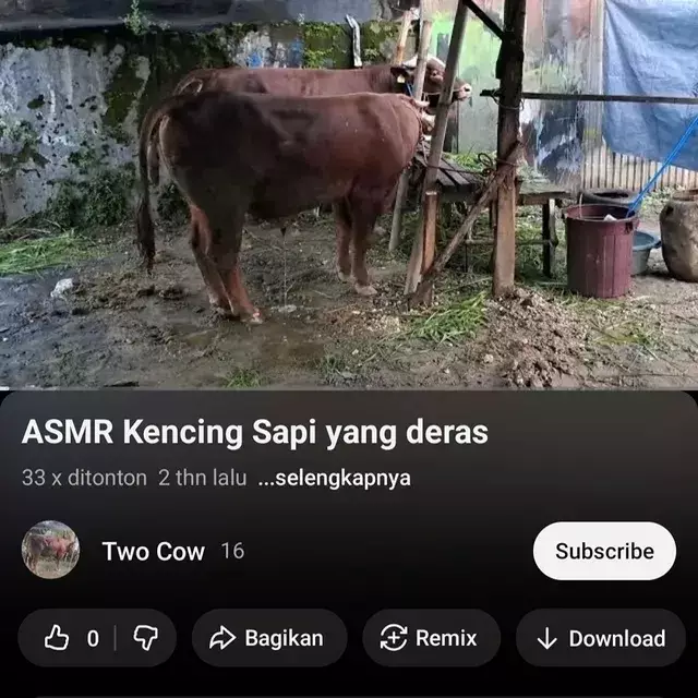 video asmr nyeleneh pengantar tidur © 2025 Instagram video asmr nyeleneh pengantar tidur © 2025 Instagram