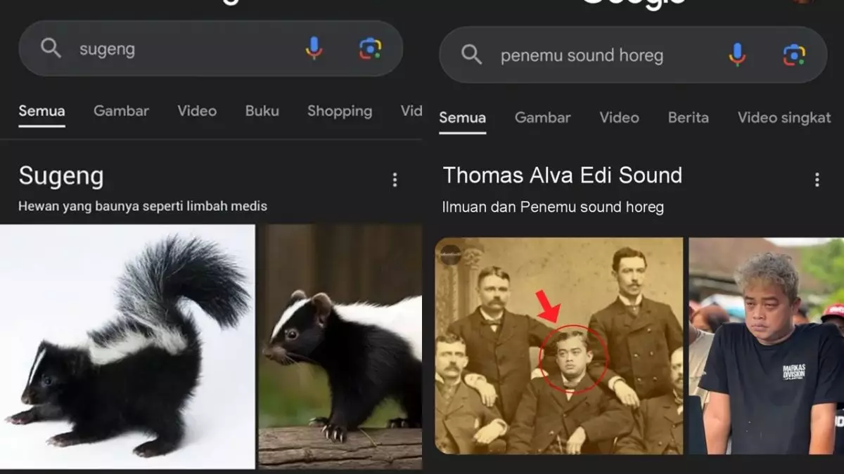 11 Gambar lucu hasil pencarian di Google ini absurd abis, yang diketik apa yang keluar beda lagi