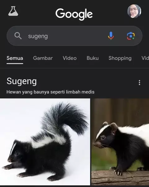 Gambar lucu hasil pencarian Google © 2025 Instagram Gambar lucu hasil pencarian Google © 2025 Instagram