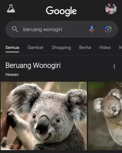 Gambar lucu hasil pencarian Google © 2025 Instagram Gambar lucu hasil pencarian Google © 2025 Instagram