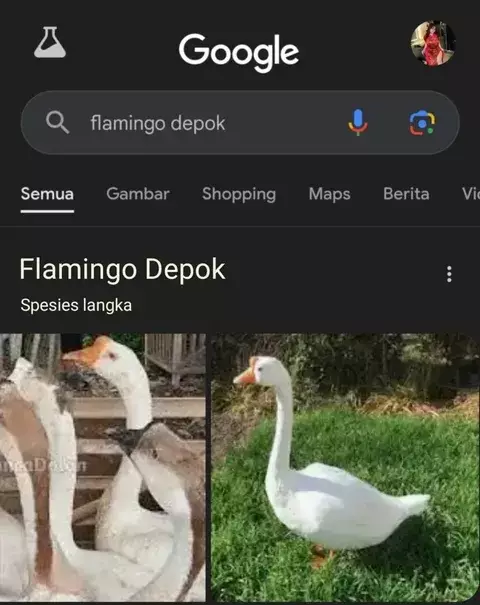 Gambar lucu hasil pencarian Google © 2025 Instagram Gambar lucu hasil pencarian Google © 2025 Instagram
