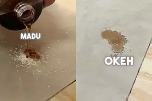 Bukan pakai kapur barus, ini cara aman usir semut di tumpukan gula cuma pakai 1 bahan dapur