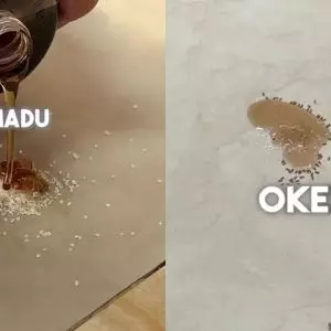 Bukan pakai kapur barus, ini cara aman usir semut di tumpukan gula cuma pakai 1 bahan dapur