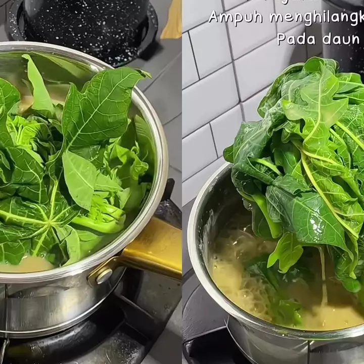 Lebih ampuh dari asam jawa, cukup pakai 1 bahan dapur ini untuk rebus daun pepaya biar tak pahit
