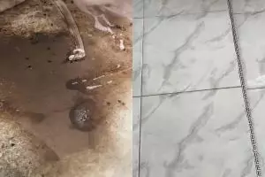 Lantai rumah kotor karena kerak menumpuk? Coba pakai racikan 2 bahan dapur ini untuk membersihkannya