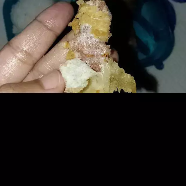 Viral ada plester bekas dalam lauk tahu menu MBG di SD Sukabumi, begini penampakannya