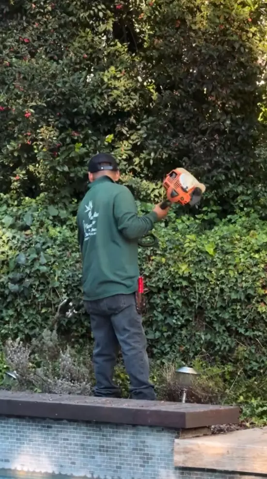 Gilang Juragan99 habiskan Rp38 juta © Instagram