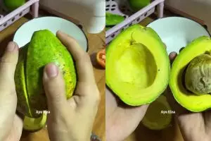 Cara antigagal mematangkan buah alpukat mentah, auto lembut dan manis alami tanpa bikin busuk