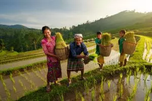 100 Kata-kata motivasi bahasa Sunda keren, bikin semangat terus
