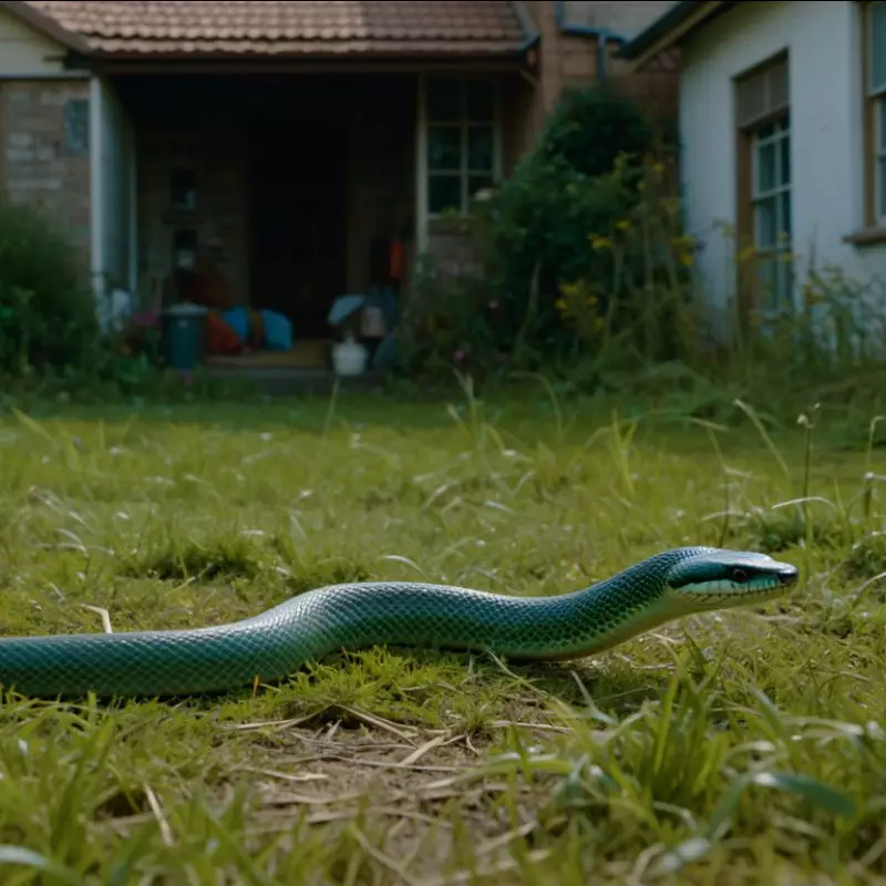 Insiden unik, ular mati setelah gigit pria mabuk, begini penjelasan dokter