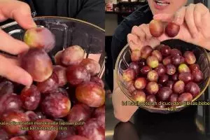 Tak perlu direndam soda kue, ini cara cuci buah anggur agar lapisan lilinnya hilang dan lebih bersih