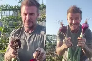9 Potret David Beckham pamer panen bawang merah, telaten banget jadi petani di lahan sendiri